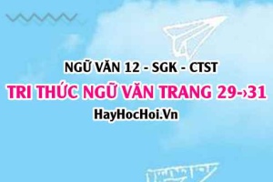 Tri thức Ngữ Văn trang 29, 30, 31 Ngữ văn 12 Chân trời sáng tạo